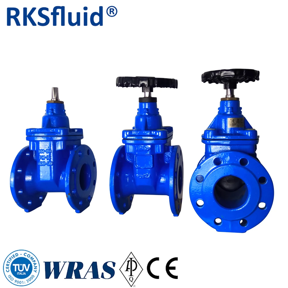 Sluice Valve Gate 2 4 6 8 12 Inch Spring Loaded Sluice Gate Valve Pn16