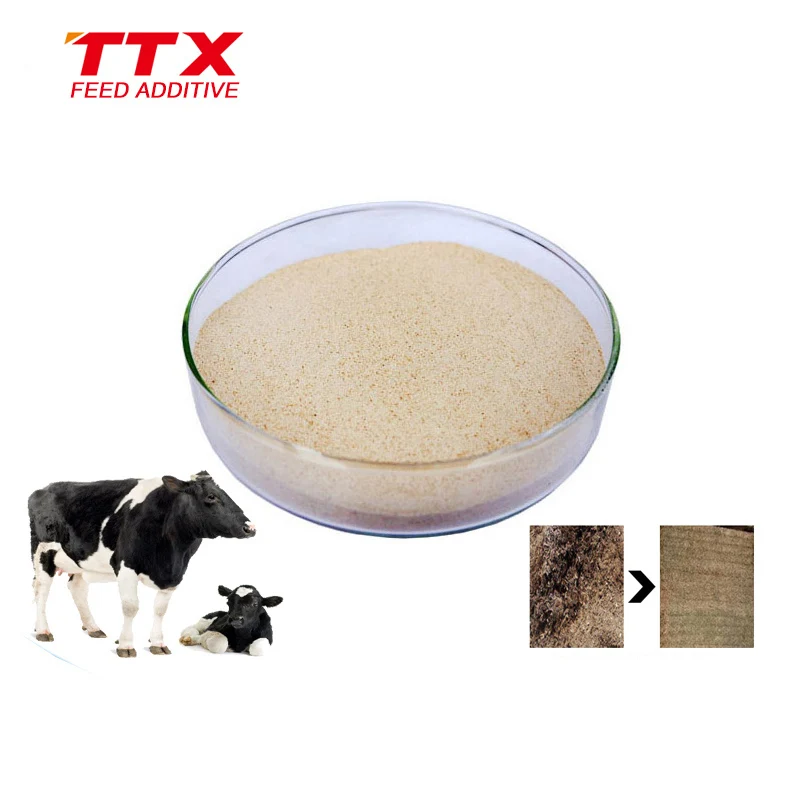
China cattle mycotoxin binder factory <strong><span style=