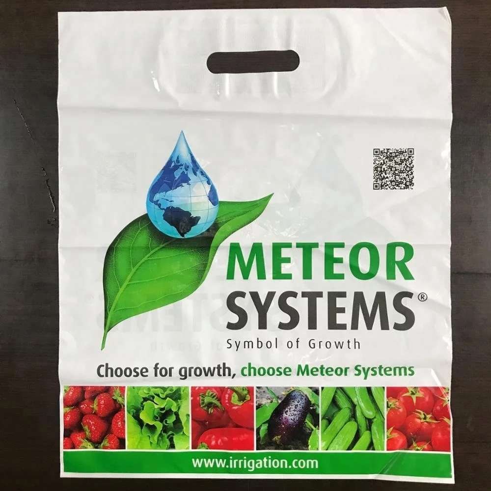 
Punch hole die cut plastic bag,plastic bag manufacturer 0.05mm thickness 