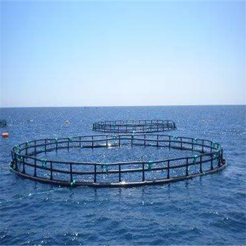 excellent wire folding fish cage trap