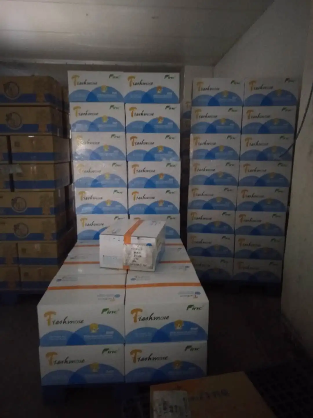 
Long shelf beech mushroom white/brown 