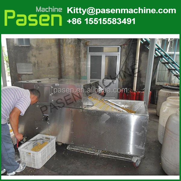 Cherry Вишневый Питтер/оливковая косточка Удалить машина/ядро питтинг машина