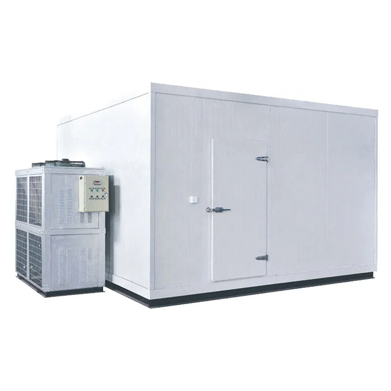 Customized Freezer Cold Storage Room Equipped with Compressor Condensing Unit for Frozen Food and Fruits Storage