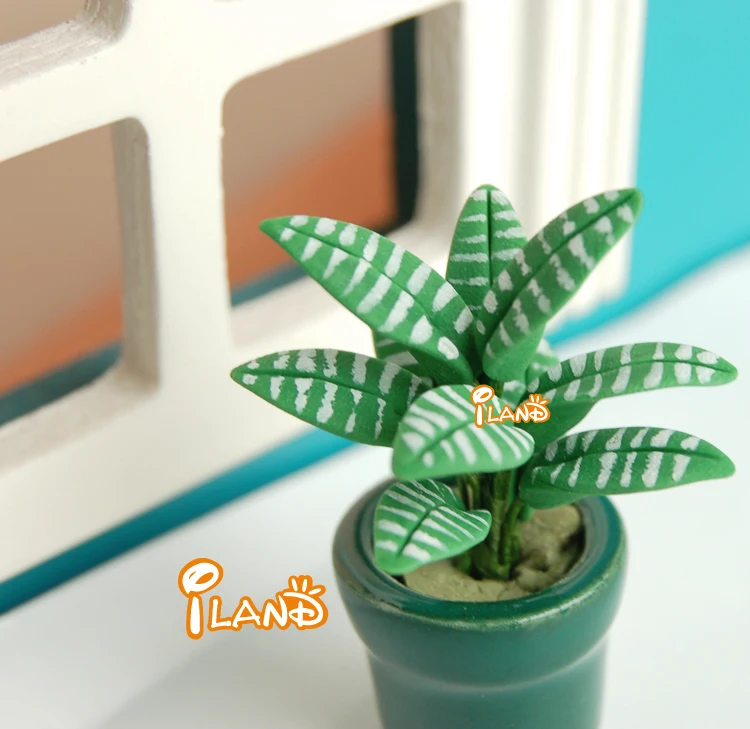 iland miniatures Dollhouse Miniature Garden Potted Zebra Leaf Plant Mini Flower OP021