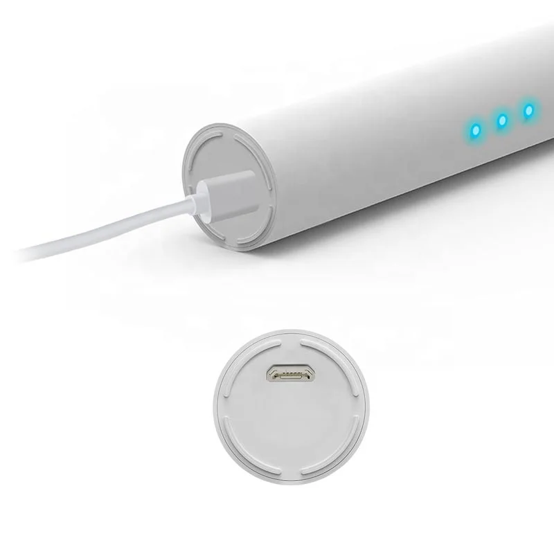 Электрическая зубная щетка PT1S для взрослых, автоматическая ультразвуковая Водонепроницаемая перезаряжаемая, с вибрацией, зарядка через USB, оптовая продажа