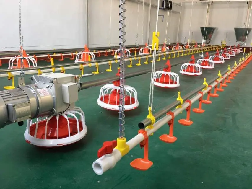 
huabang series automatic chicken poultry farm equipment for broiler chicken house 