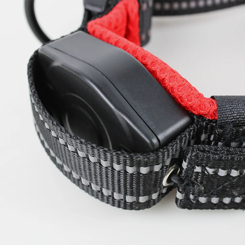 Pet Supplies Dog Collar Leash with Buckle Collar Elastic Adjustable Leash AutomaticallyRetract Pet Leash New Design for Dogs