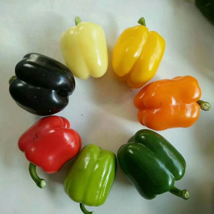 
Purple F1 hybrid Mid early maturity sweet purple blocky pepper seeds 