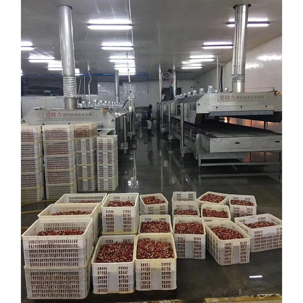 DJL морская пищевая машина для быстрого замораживания, конвейерная морозильная камера, морозильная камера для продажи, морозильник для ультра низкой температуры