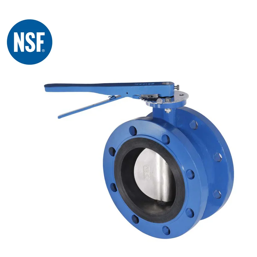 cast iron  ANSI150lbs flange end NSF approved  swing check valve for drinking water