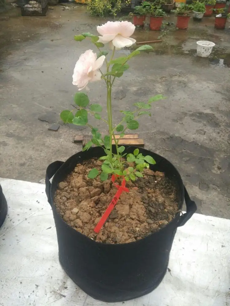 Garden 2 3 5 10 20 30 gallon eco-friendly grow bag plant tree growing bag