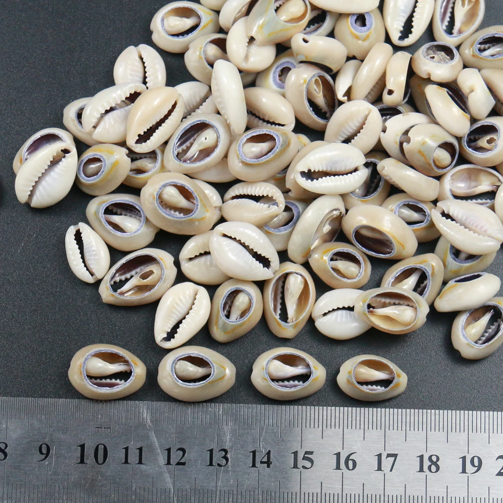 
Natural Craft Supplies SLICE HALF CUT SPLIT SEA SHELL COWRIE COWRY DECOR Seashell Conch Shell Spacer Connector 