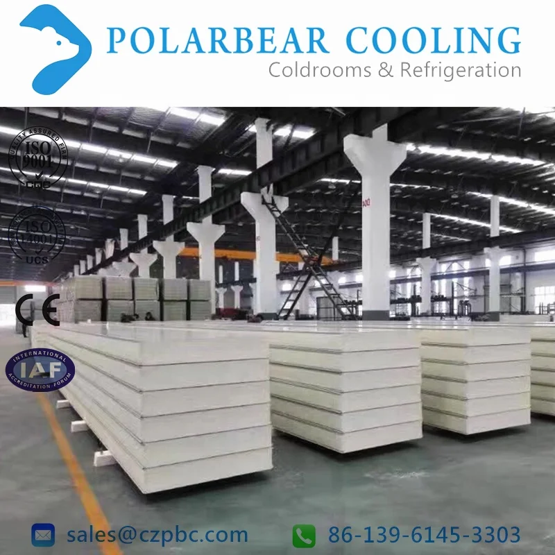 PU insulation sandwich panels for CA controlled atmosphere cold storage