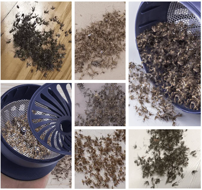  EPA MK02 умная электрическая ловушка для насекомых светодиодная лампа борьбы с вредителями USB-кабелем средство уничтожения вредителей