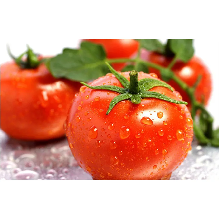 Термостойкость большой размер около 260 гр семена томатов