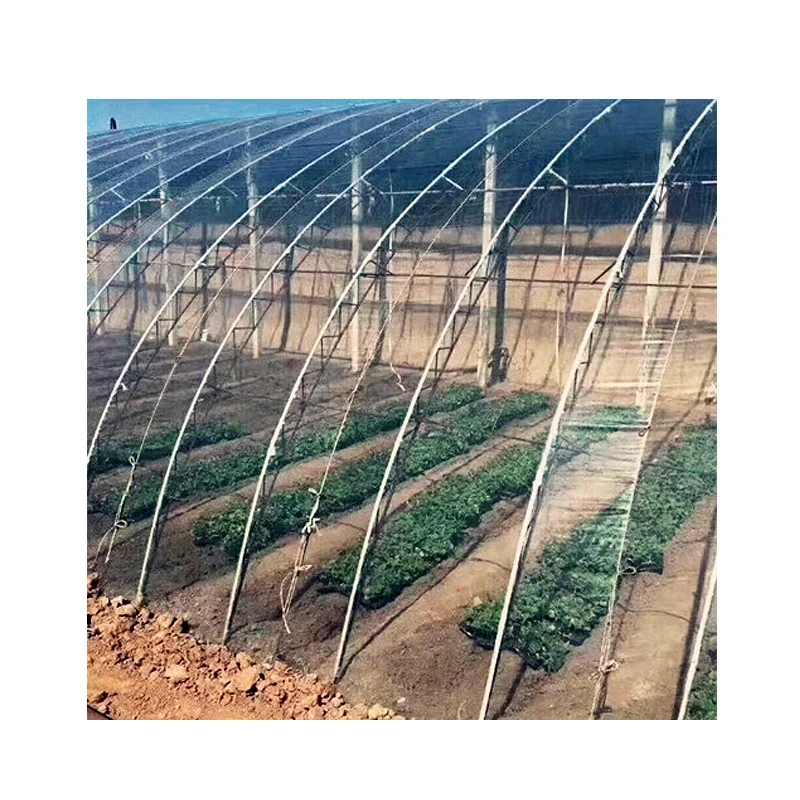 
Agriculture greenhouse plastic film tunnel greenhouse film 