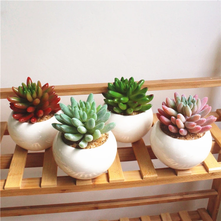 Desk decoration Artificial Succulents Plants potted  fingers shape plant for home decoration
