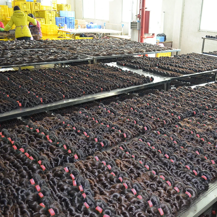 
100 Kabeilu vietnam human hair factory in vietnam,virgin raw vietnam hair,natural double drawn raw virgin vietnamese hair 