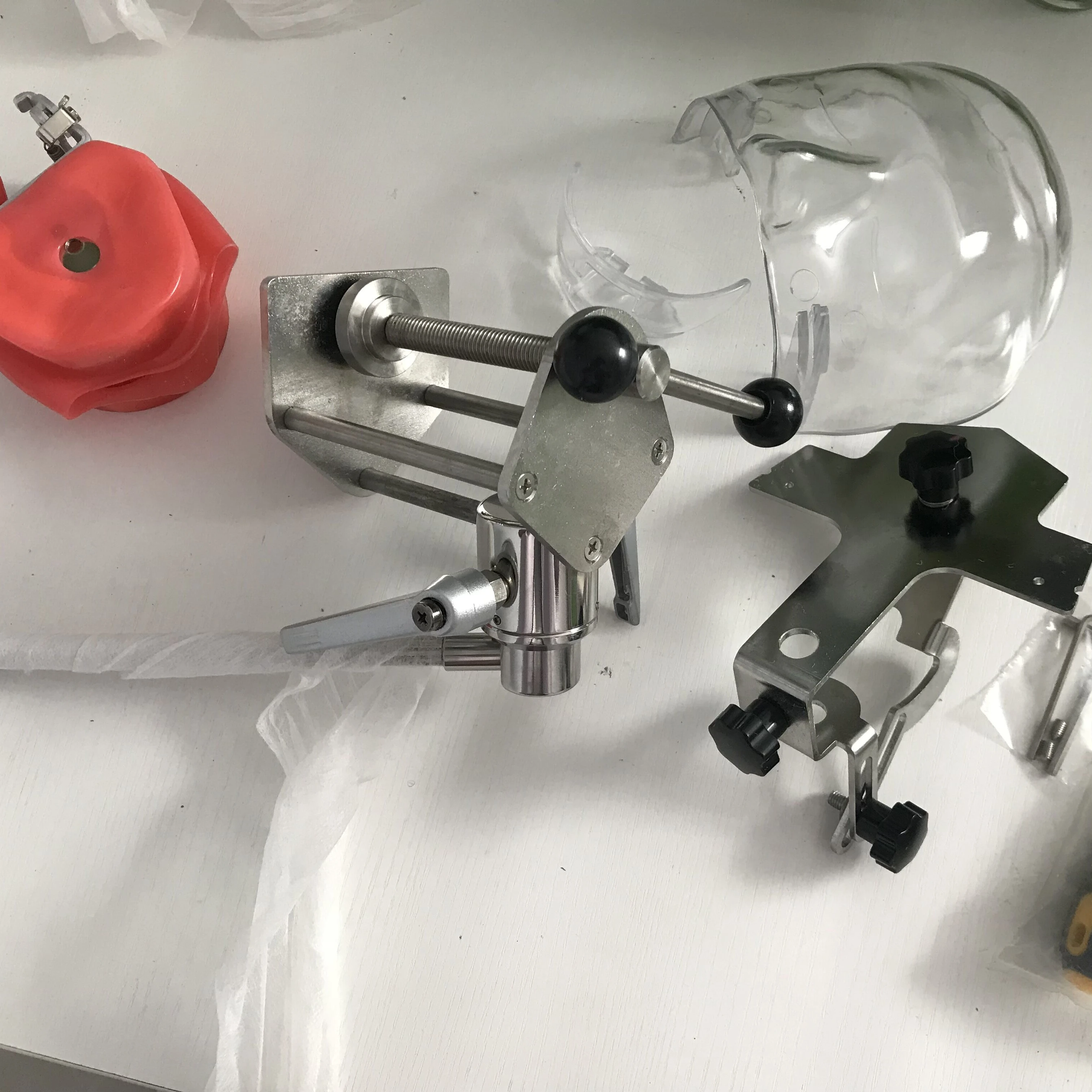 Dental Teaching Simple Dental Phantom Head for Practicing