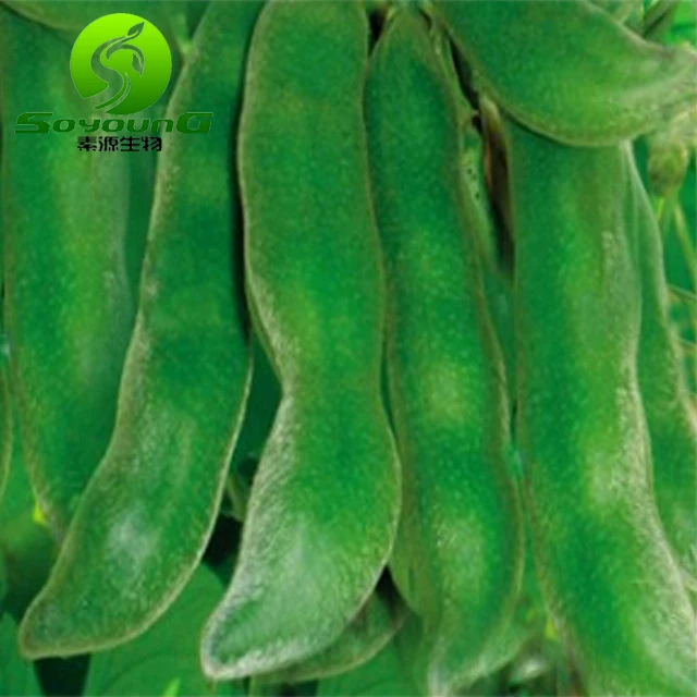 
natural mucuna pruriens extract 98% l-dopa powder 