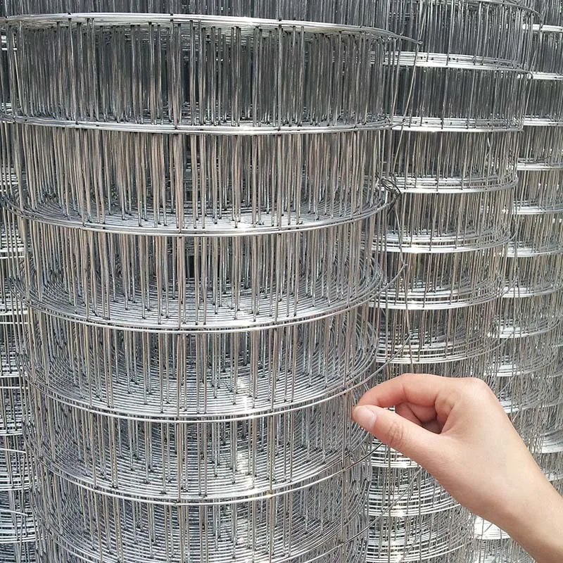 High quality welded wire mesh supplier galvanized welded wire mesh