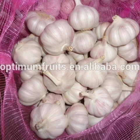 5.5 cm Fresh Normal White Garlic/ wholesale garlic/ garlic box 10kg