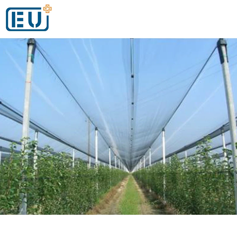 Противоградовой net для арбуз посадки защиты/виноград Земледелие противоградовой сеть с высоким легкий прозрачный скорость