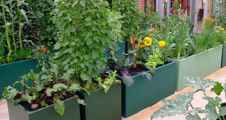 Большой горшок с порошковым покрытием на заказ, длинный горшок для цветов, прямоугольная коробка для растений