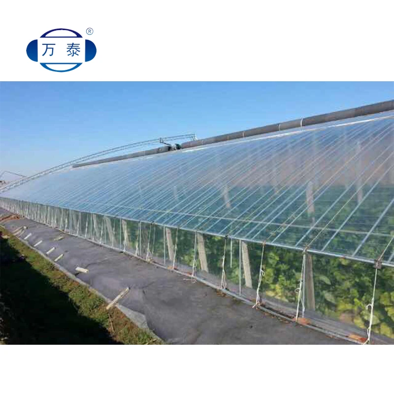 Gold Supplier top quality agriculture plastic shed farm film