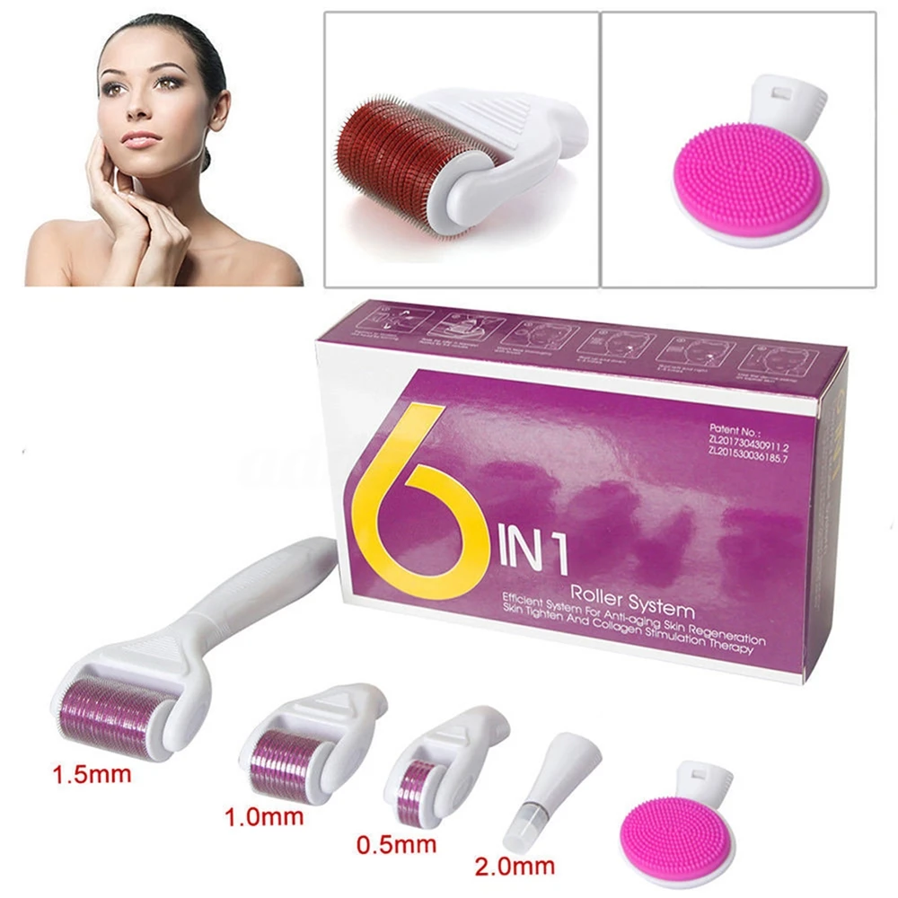 China most popular 3 in 1 micro derma skin hair roller set kit for sale