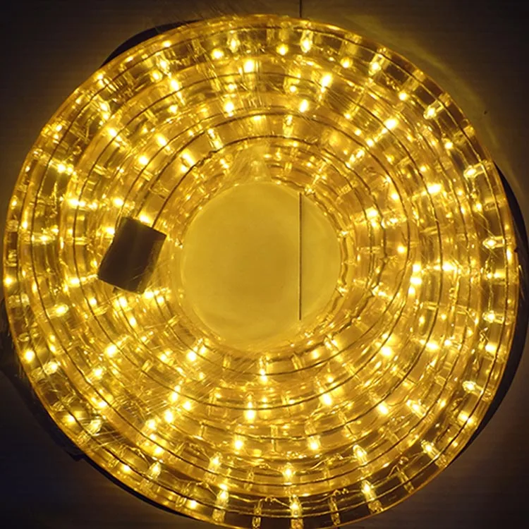 2020 PVC Super Bright  Quick Connect Wire New Style Led Rope Light With Remote Neon Rope Light Dmx Controlled Rope Light