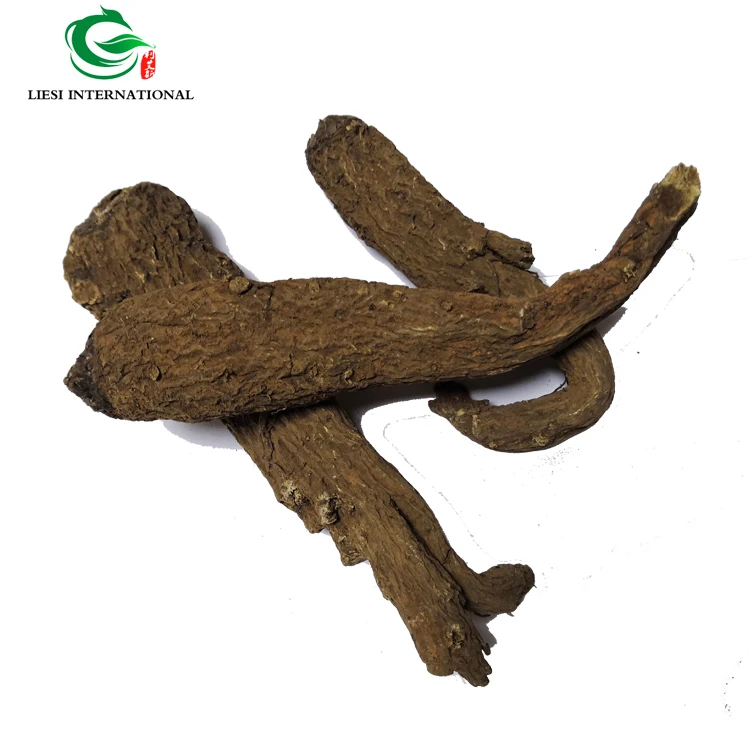 Травы для дизентерийного использования auckсоставлян костус