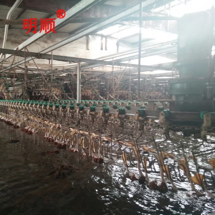 
chicken butchery plant for boiler chicken / duck processing line plant /automatic duck slaughter equipment 