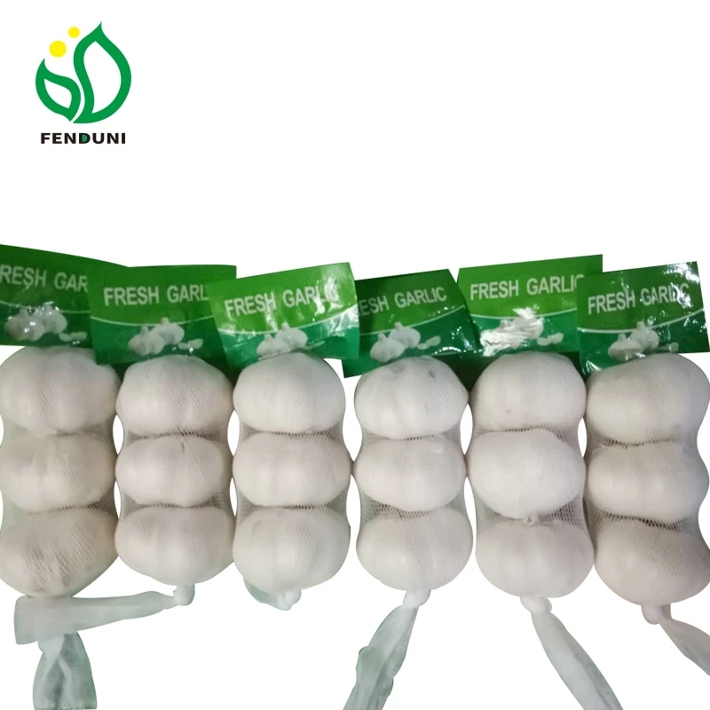 
2019 Garlic Fresh/Alho fresco/Ajo fresco/Ail frais 