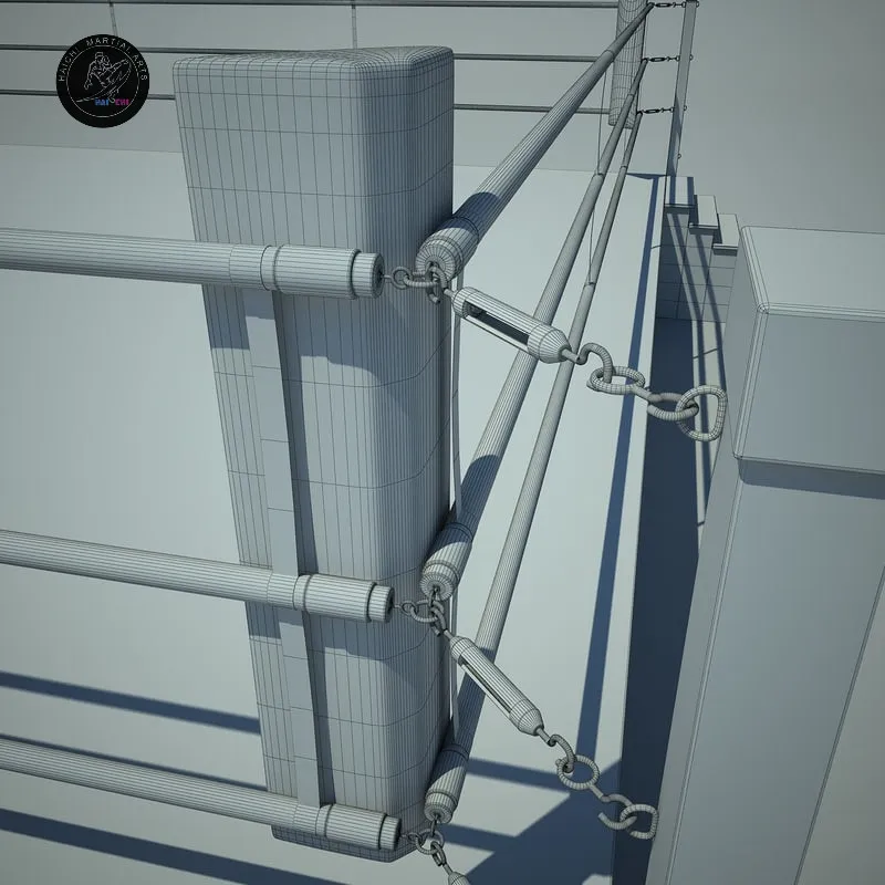 Сертифицированное SGS восьмиугольное боксерское кольцо с прочным холстом