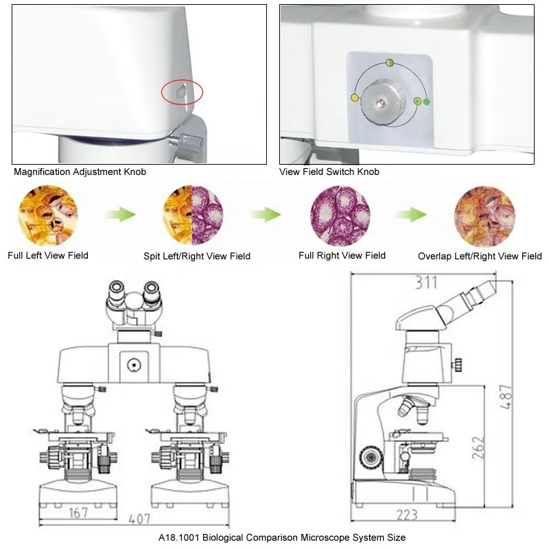 OPTO-EDU A18.1001 1000x Binocular Biological Comparison Microscope