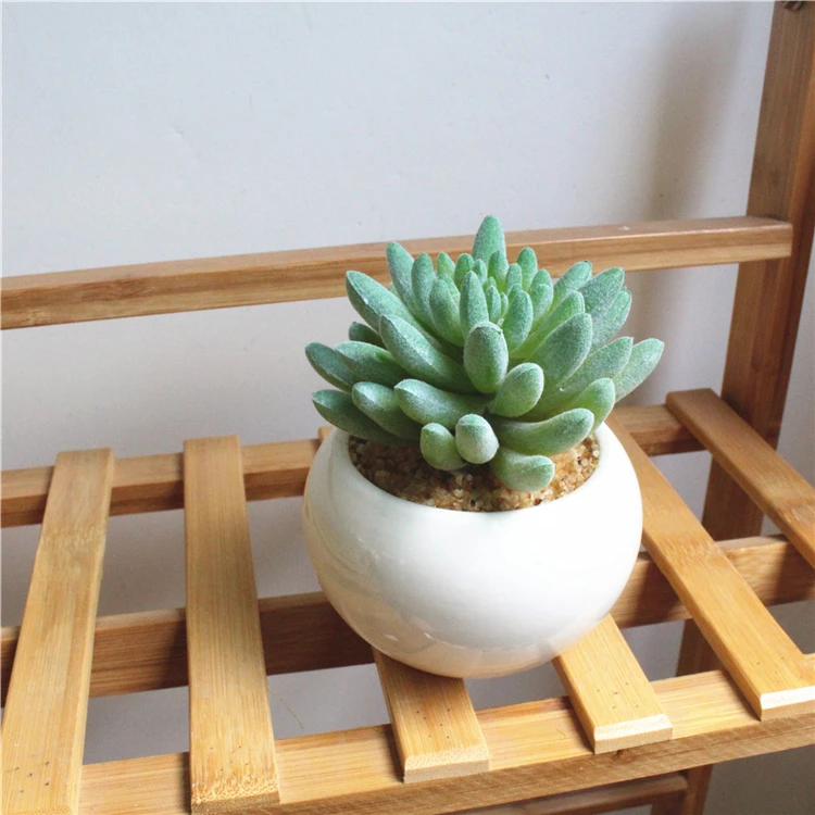 Desk decoration Artificial Succulents Plants potted  fingers shape plant for home decoration