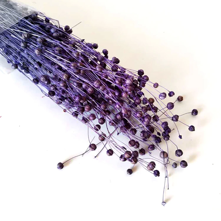 
Bulk Dried Flowers Purple Preserved Flower Dried Flower 