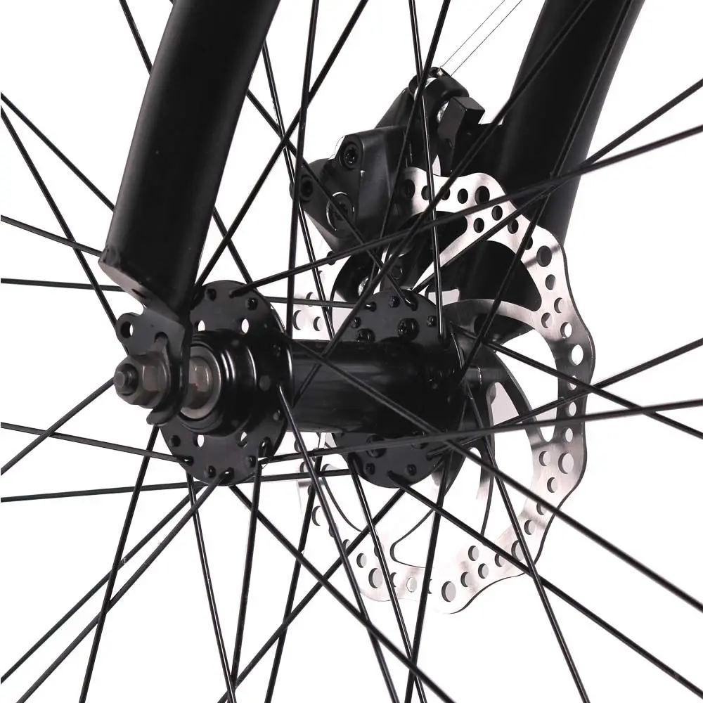 26 inch fat tyre 21S disc brake mtb mountain bike mountain cycle