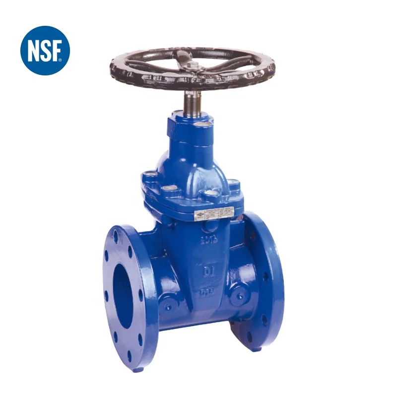 cast iron  ANSI150lbs flange end NSF approved  swing check valve for drinking water