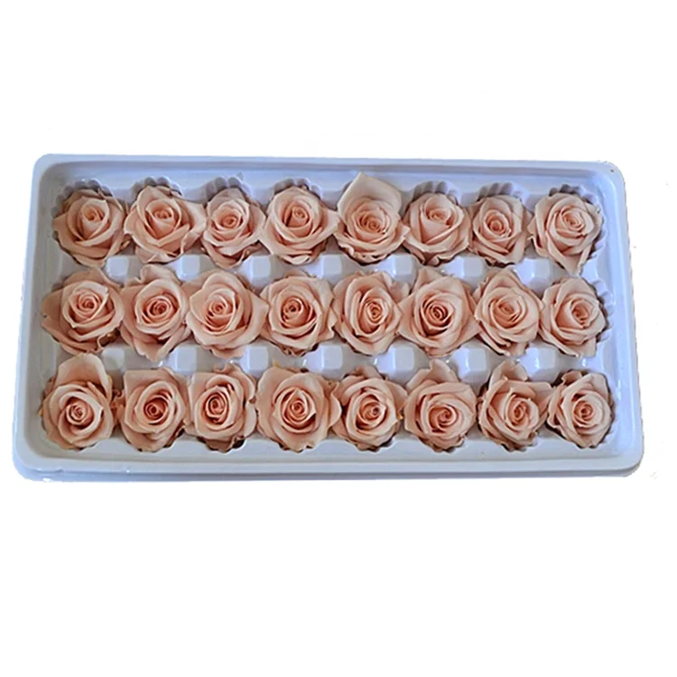 Flora 2-3 cm Champagne Color Preserved Natural Mini Roses Flowers In Box preserved roses
