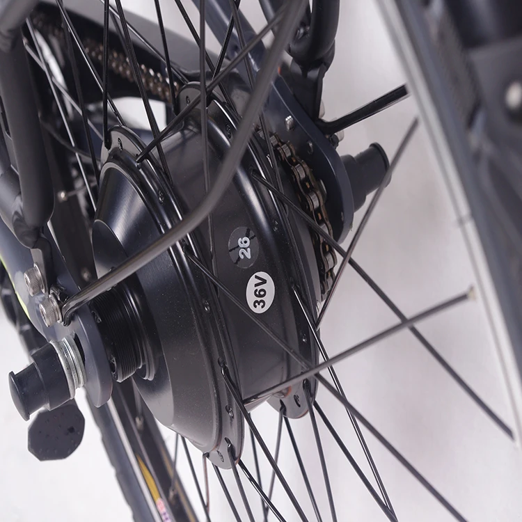 Chinese Cheapest City Style Electric Bikes for Italy and France