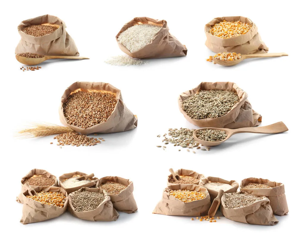 
Easy Operate Heat Pump Dryer Grains Rice Food Drying Dehydration Machine 