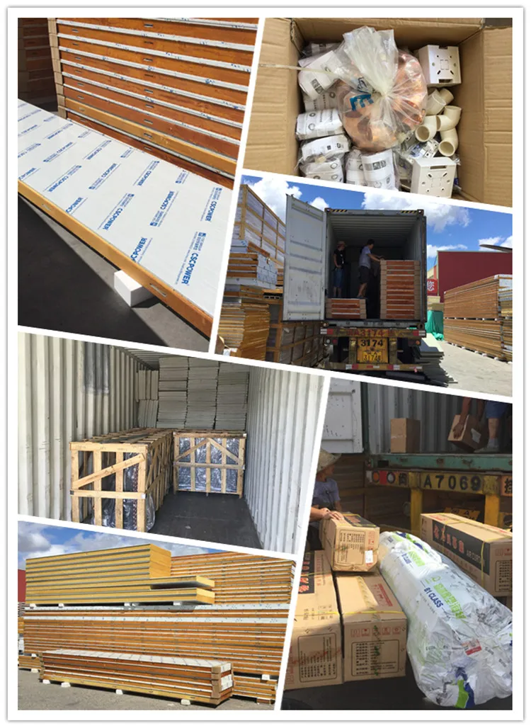 cold room to store fish meat and chicken with lowest price