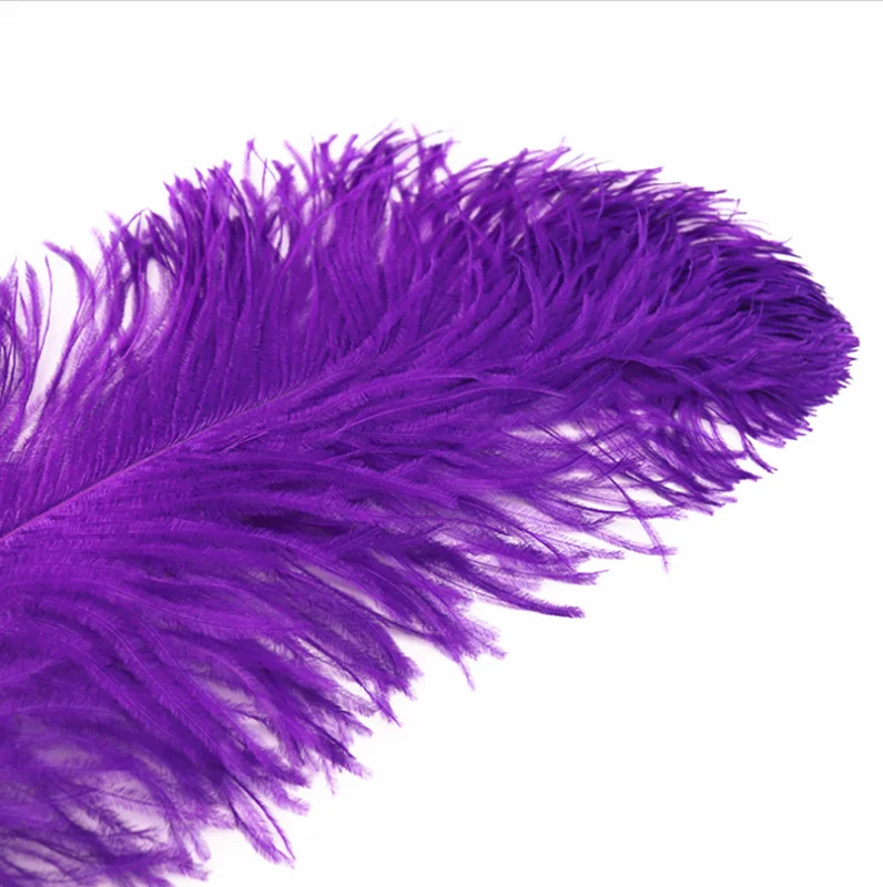  wholesale Ostrich Feather 100pcs/lot 55-60cm Wedding Decorations Plume
