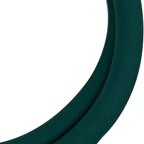 
YJ S2224-DGN Colorful Medical Diagnosis Sprague Rappaport Double Dual Tube Stethoscope 