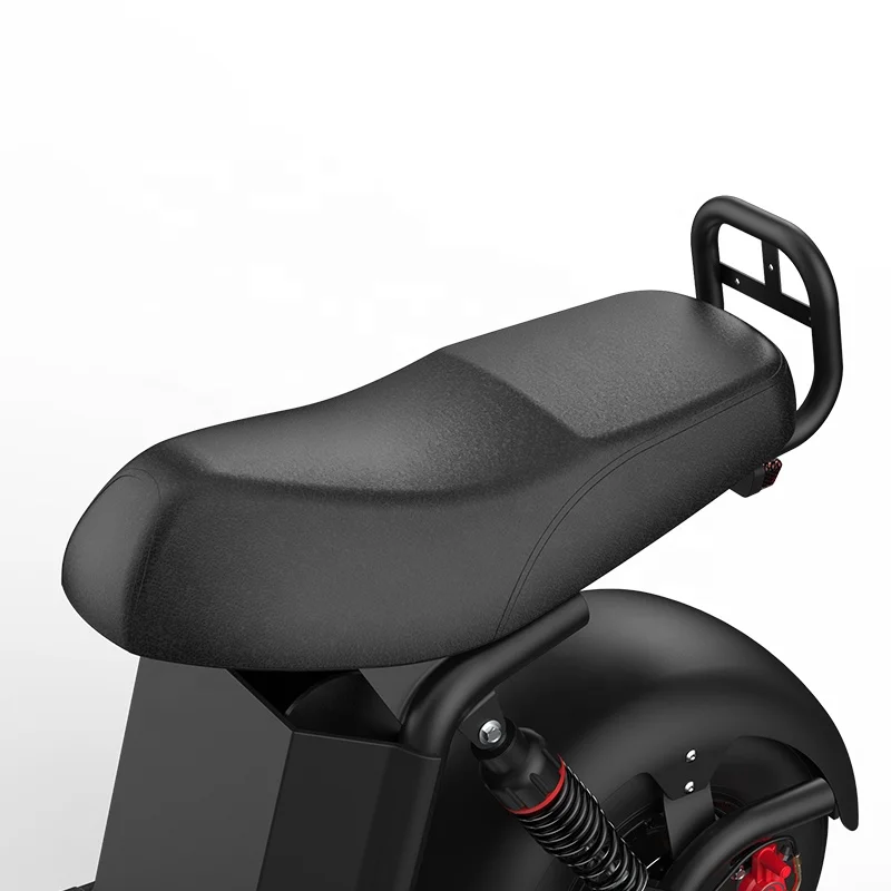 2 Big Wheels Removable Double Battery Electric Scooter 1000W