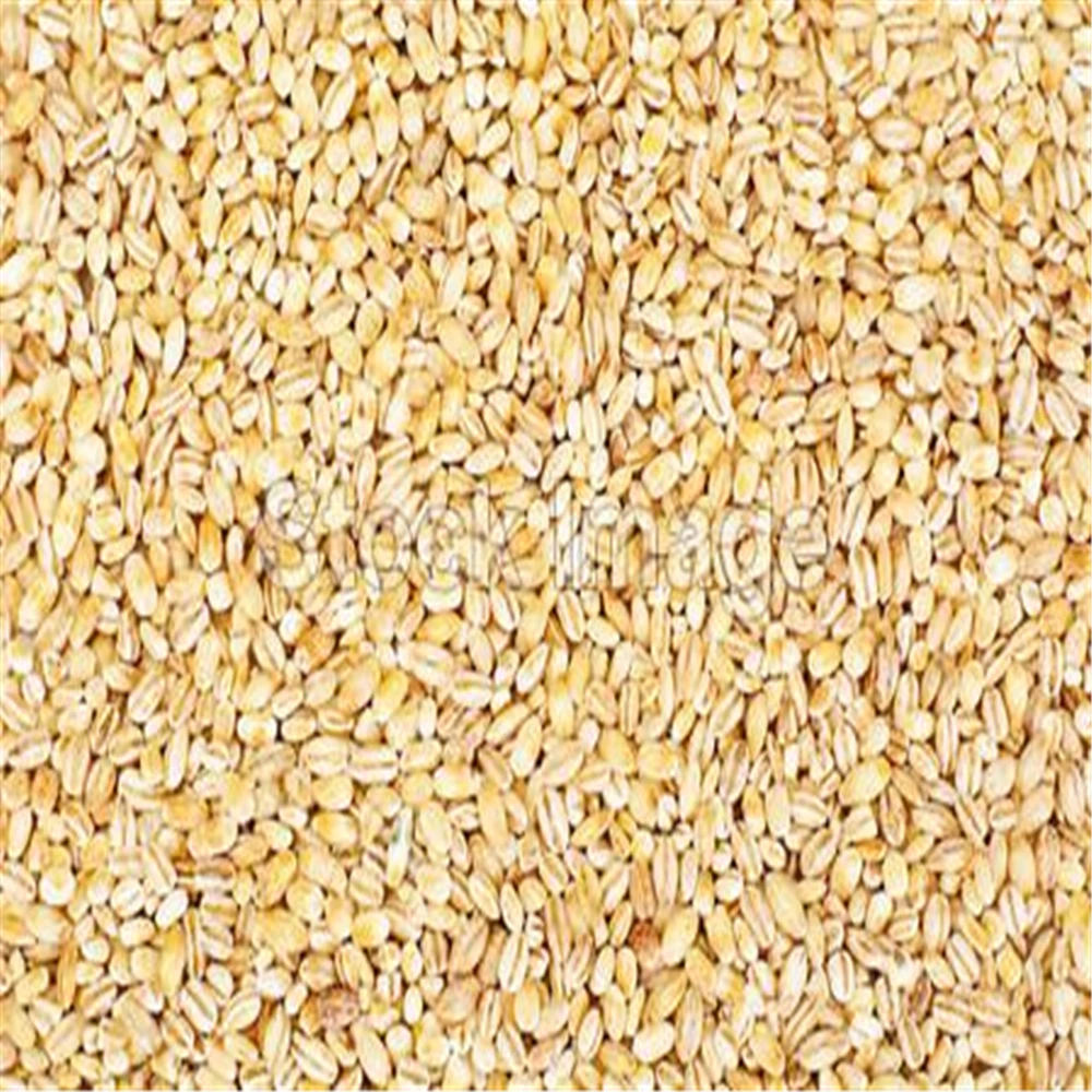 Лучший ячмень для корма животных и людей