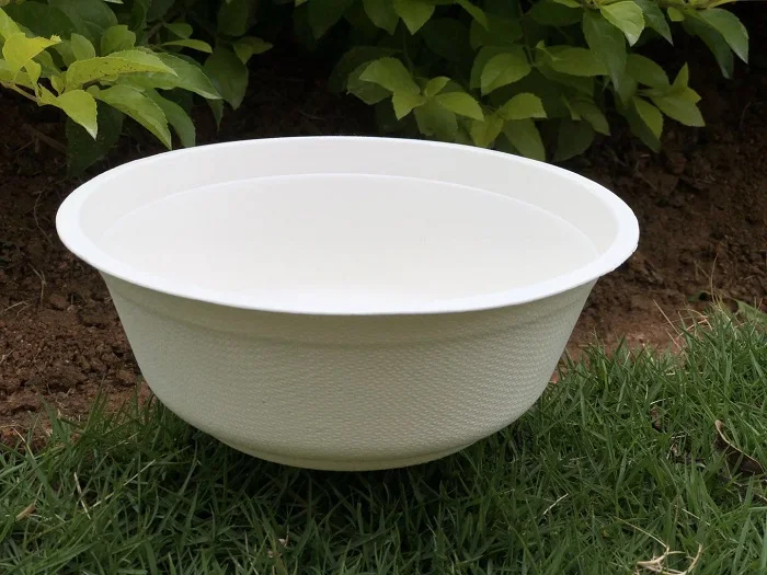 custom 12oz 24oz 32oz bagasse sugarcane paper packaging food salad fast food box/bowl/plate with lid