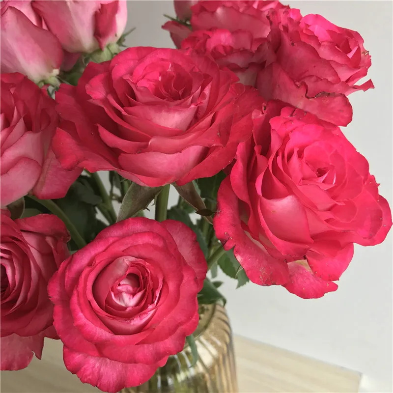 
2019 mail order flowers wholesale fresh flowers wedding red rose cut flowers 